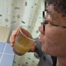 황금비타민 | 베러하루 양배추즙 추천｜양배추 사놓고 결국 버리는 분들께, 황금 레시피 CBA 후기