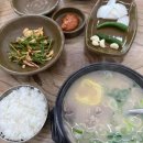 양지탕 티스토리
