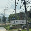 안성 오하하우스 웨딩 하객후기: 이색적인 결혼식 하우스 웨딩, 뷔페, 포토부스