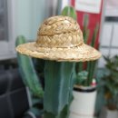 성경공인중개사사무소 이미지