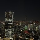 유리모리 | 롯폰기힐즈 모리타워 전망대 야경 + 에반게리온 전시회 후기