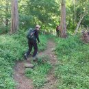 신상로동부로 이미지