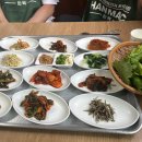한아름 | 🏌️‍♀️ 순천 골프존카운티 라운딩 후 주암 한아름식당 뽁짝백반 후기 🍱