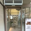 GR(부여군)-[구룡로]-하-1 | 일산 두피관리 &#39;모바이오&#39; 일산점 리얼 후기