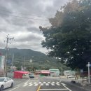 흥부농장 | 얼음골에서 사과 구매 후기: 흥부농원의 황금사과와 얼음골사과 비교