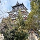 평화의숨결 | 🏯 히로시마의 역사를 걷다! 히로시마성부터 평화의 상징 원폭돔까지 봄 산책 🐾