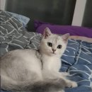 부산뱅갈하우스 이미지