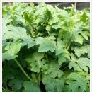 황토골농장 이미지