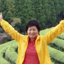 보성광고 이미지