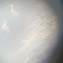 남항배수펌프장 이미지