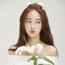 휘오레블룸