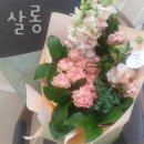 비부스 이미지