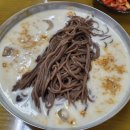 태평식당 | 전주 줄서는 식당 : 《태평집》 콩국수, 메밀국수 솔직 후기