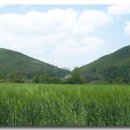 니가올래내가갈까 이미지