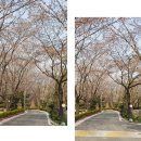 버들농원 이미지