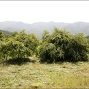 원산농장 이미지