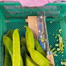 김한수농장 이미지