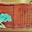 안동화련 이미지