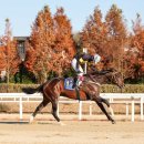 부마목장 이미지