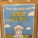 오늘도 힘차개 이미지