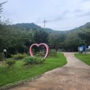 열린행정사무소 이미지