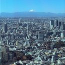 (주)애플웨어 | 도쿄 빈티지샵 쇼핑 당일치기로 다녀온 후기 (샵 위치/ 가격 비교 정보)