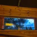 다은 민박 이미지