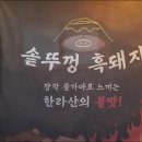솥뚜껑이면돼지 이미지