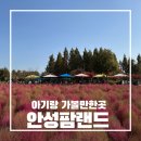 명랑핫도그(안성공도점) | 아기랑 다녀온 안성팜랜드 핑크뮬리 + 동물체험 후기 (36개월미만 무료)