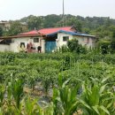 무어산 경로당 이미지