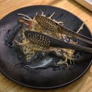 고향 | 건대맛집 양꼬치 무한리필 고향양꼬치 건대점 후기