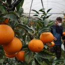 (주)영동건설 이미지