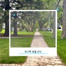 [캐나다 워홀/위니펙] EP6 집구하기2 또또 뷰잉 계약까지😌