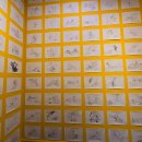 피그브라더스 이미지