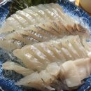 &lt;주나수산&gt; 횟집 방문 후기 정준하 광어 방어 해물라면 강남 맛집 예약 주차