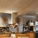 상업용 81 | 후쿠오카 스시 맛집, 도진마치 히가키 내돈내산 후기