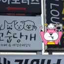 꼬숩당개 이미지