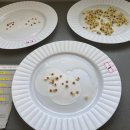 과학 실험교실 이미지