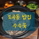 도곡1-106 | 도곡동 맛집 돼지국밥 추천<돼지고기국 효> 🥢 양재천 근처 숨은 도곡 국밥집 발견
