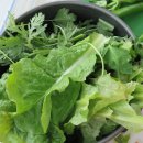 하나농장B 이미지