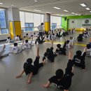 이글태권도 이미지