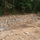 삼광수지 이미지