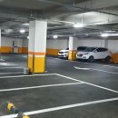 라이프스포츠센터(골프연습장) 이미지