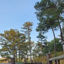 서울댄스스포츠학원 이미지