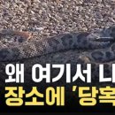 온천천일대5 이미지