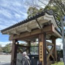 (주)엔토리 | 나고야 벚꽃 여행 2. 나고야 성 하나마쯔리, 미라이 타워 야경, 오아시스21 스시집