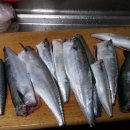 당나라 당구장 이미지