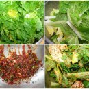 웰빙반찬 Daum카페