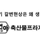 건아축산물프라자 이미지