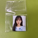 안리즈